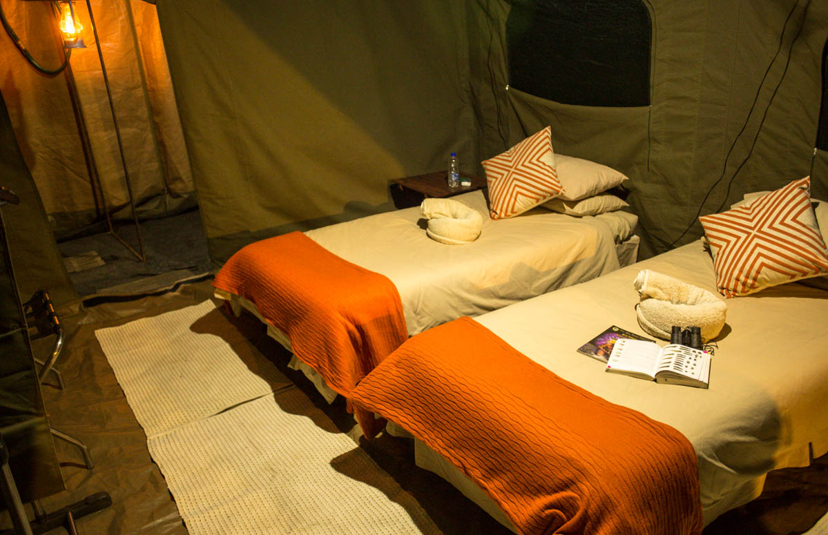 Luxury safari tent
