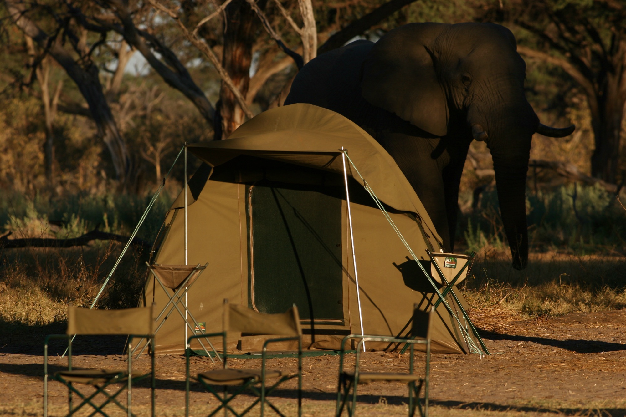 Semi-luxury dome tent