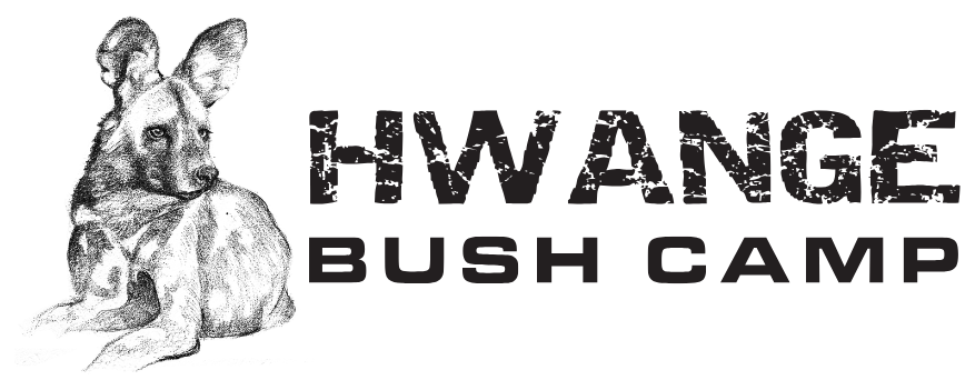 Hwange Bush Camp
